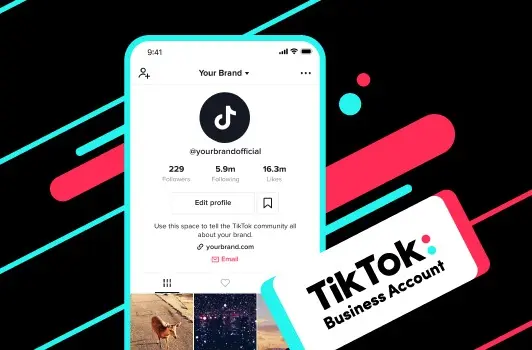 Campanii TikTok Ads