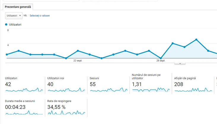 Alegerea și optimizarea cuvintelor cheie într-o campanie de promovare